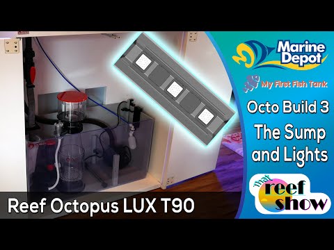 Plumbing and Planning the Sump! Reef Octopus Build Part 3!