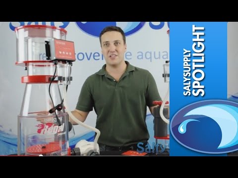 Product Spotlight – Reef Octopus Regal Protein Skimmers