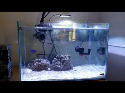Project Natural – Mr Aqua Chic 11.4 Rimless w/ Kessil A80 Tuna Blue – Day 12 – Filter/Pump Upgrades