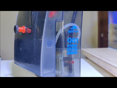 Protein Skimmer Bubble Magus QQ1 Review BM-QQ1