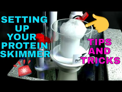 Protein Skimmer – How To Set Up- How To Tune It – Bubble Magus Curve 5