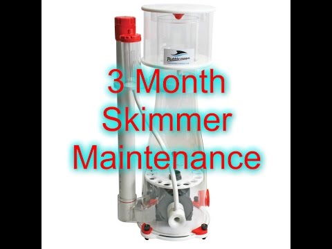 Protein Skimmer Maintenance | Beginner Guide To Saltwater Aquariums