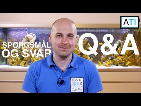 Q&A 1 – Hold akvarierne pæne? BiOrb akvarie? Brug af gødning? Fokus videoer?