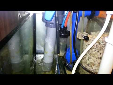 RAC Bubble magus c120