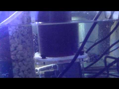 Reactor bp130 bubble magus