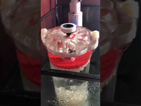Reactor Bubble Magus Biopellets Nitratos