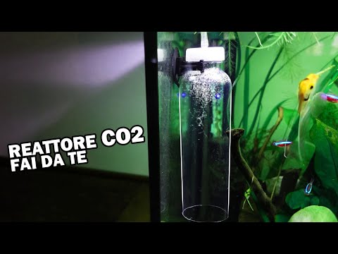 REATTORE CO2 Faidate Per Acquario (100% solubilità)