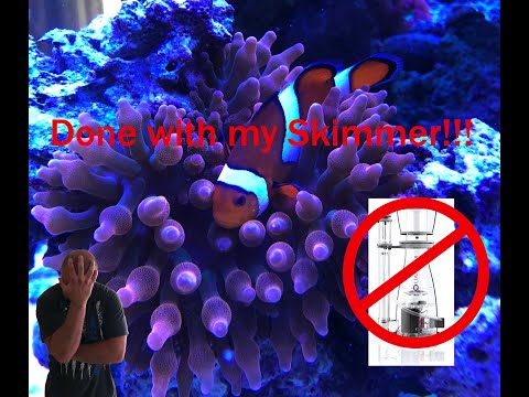 Red Sea 650 Update – Reef Octopus Elite 200 Internal Skimmer