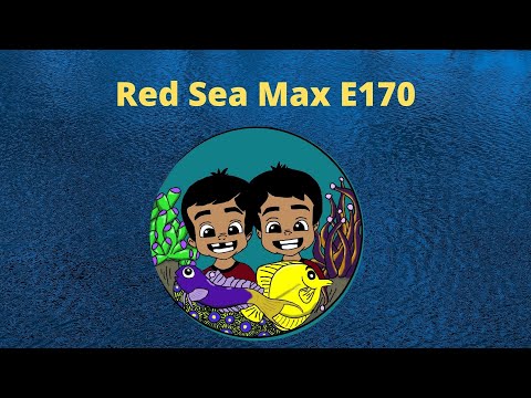 Red sea Max E170 Update ft 6g innovative marine tank