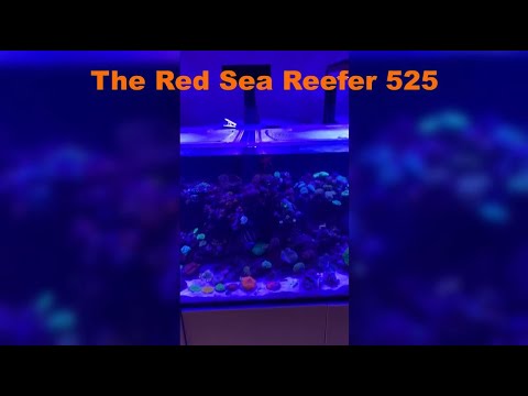 Red Sea Reefer 170 and Red Sea 525 Top Lid Project – 3 Lids for a Whole Home Protected