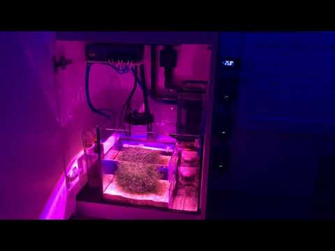 Red Sea Reefer 170 – EcoSystems Miracle Mud Refugium