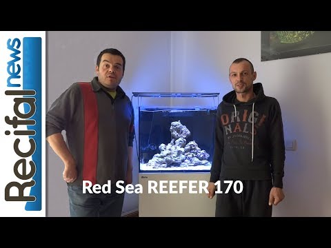 Red Sea reefer 170 : Présentation de l'aquarium