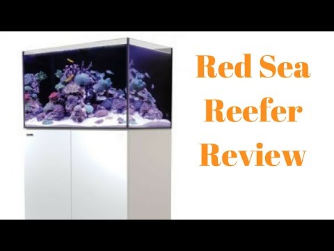 Red Sea Reefer 170 Review