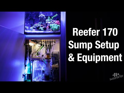 Red Sea Reefer 170 Sump Setup & Equipment