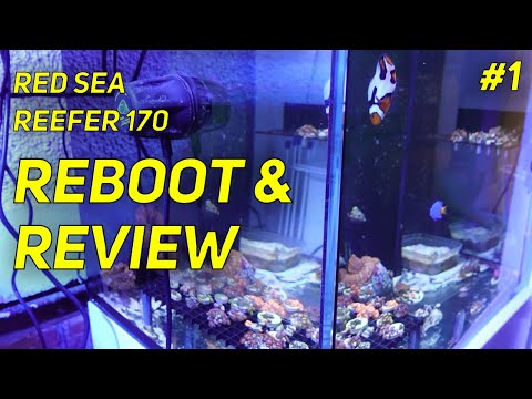 Red Sea Reefer 170 – Update 1: Review & Reboot