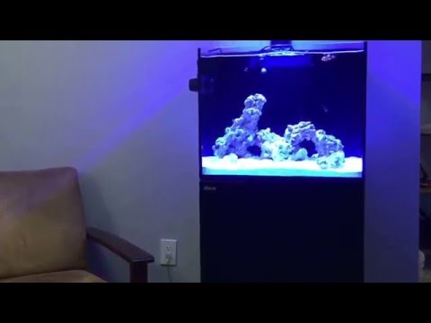 Red Sea Reefer 170.  Video 14.  Aquarium Move Video 4, New Apartment Set Up.