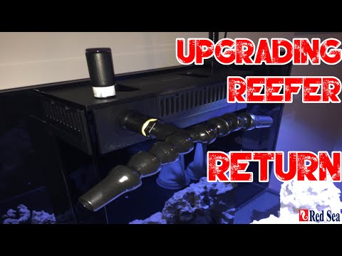 Red Sea Reefer 250 | Broadfield Return Nozzle MOD
