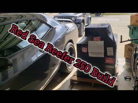 Red Sea Reefer 250 build
