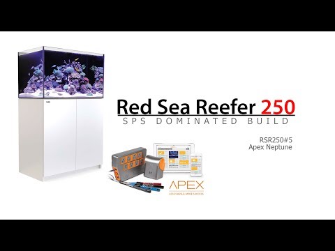 Red Sea Reefer 250 Build 5 – Neptune Apex Controller