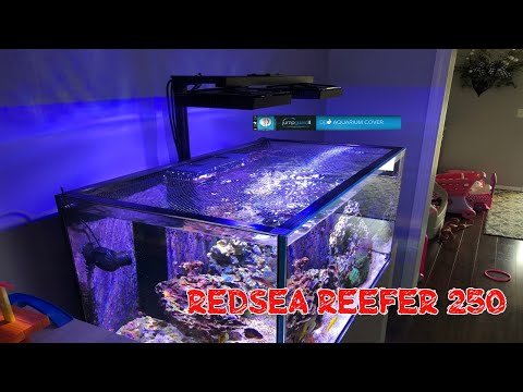 Red Sea Reefer 250 | DD Jumpguard PRO DIY Net Screen Aquarium Cover