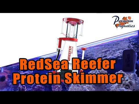 Red Sea Reefer 250 Deluxe – Part II – RedSea Reefer Protein Skimmer
