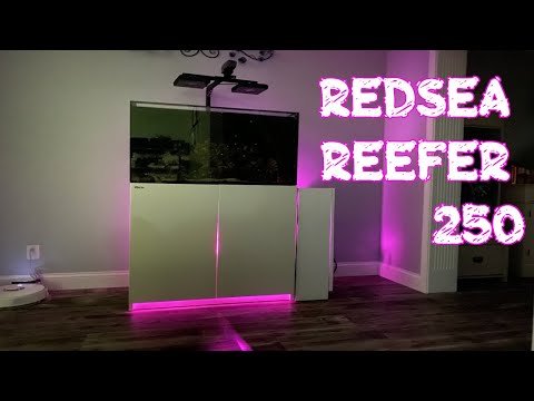 Red Sea Reefer 250 | DIY Nitrates | Best Filter Floss EVER | Verify Your Reef Temp