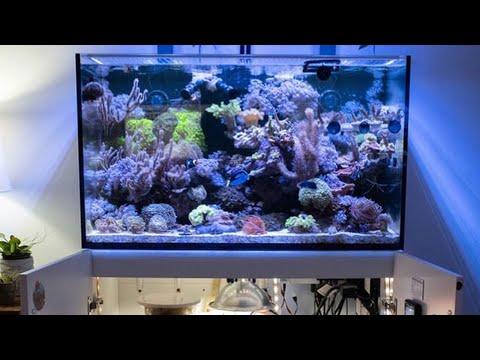 Red Sea Reefer 250 DIY Refugium and Tank Update