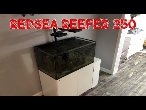 Red Sea Reefer 250 |  Eheim Auto Feeder | Over A Year WITHOUT A Skimmer