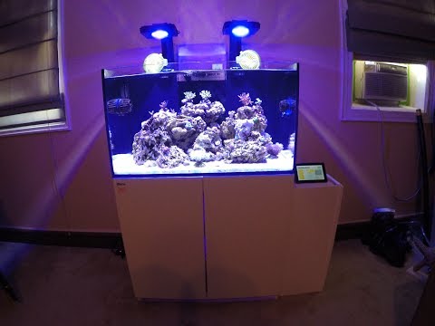 Red Sea Reefer 250 Equipment Summary