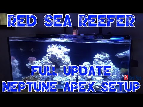 Red Sea Reefer 250 |  FULL UPDATE | Neptune Apex Setup