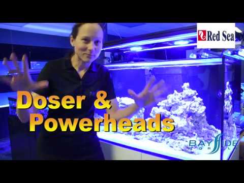 Red Sea REEFER 250 gets a dosing system!