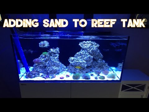 Red Sea Reefer 250 | How To Add Sand To Established Reef Tank | Tropic Eden Meso & Reef Flake Sand