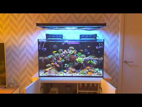 Red Sea Reefer 250 – Mixed Reef – Overview and Equipment Part 1
