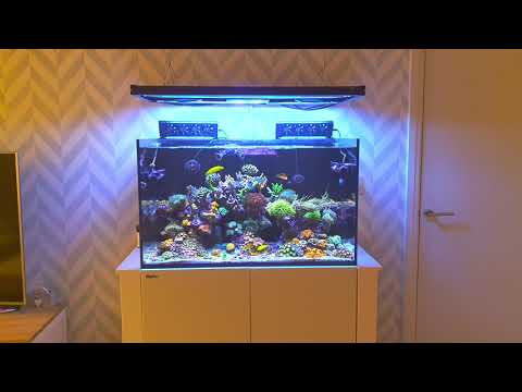 Red Sea Reefer 250 – Mixed Reef – Overview and Equipment Part 2