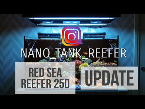Red Sea Reefer 250 – Mixed Reef – Update