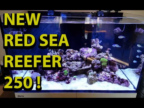 Red Sea Reefer 250 New Set Aquarium Episode 1 \\ Building and Setting Up A New Reef Tank