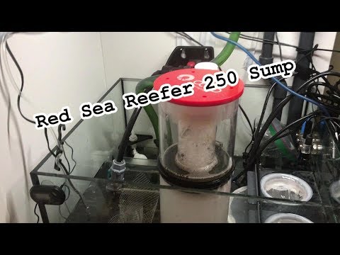 Red Sea Reefer 250 Sump update! Reef octopus varios 4, Reef octopus protein skimmer, and more!