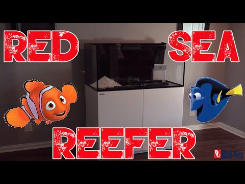 Red Sea Reefer 250 | Tank Reveal | Building Cabinet | Overview
