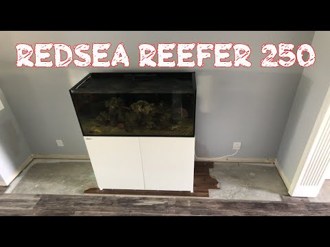 Red Sea Reefer 250 | Time For A Tank MOVE! | Putting Down New Flooring | How I Moved My Reef Tank