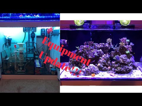 Red Sea Reefer 250 Update #11 Equipment UPDATE!!!!!