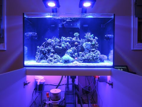 Red Sea Reefer 250 Update #3 Sump Review