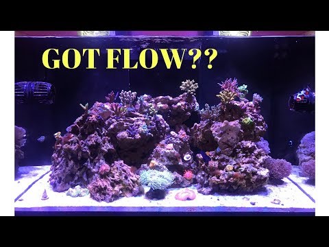Red Sea Reefer 250 Update #6: Got Flow? 4K