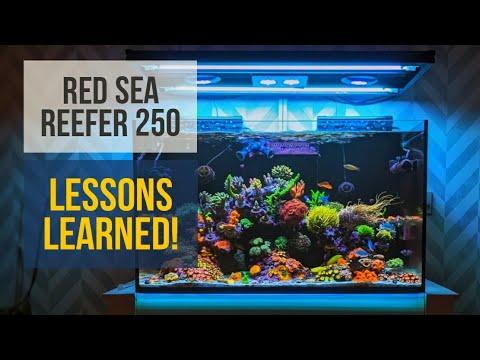 Red Sea Reefer 250 – Update – Lessons Learned ? – Mixed Reef – Reef Tank