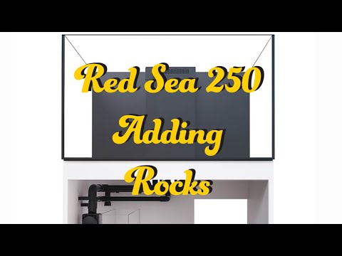 Red Sea Reefer 250 Week 1