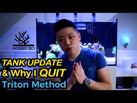 Red Sea Reefer 250 – Why I "Quit" Triton Method and 2 Year Tank Update