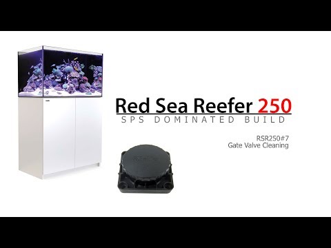 Red Sea Reefer 260 Build  Video 7 – Gate Valve Cleaning