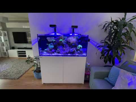Red Sea Reefer 350