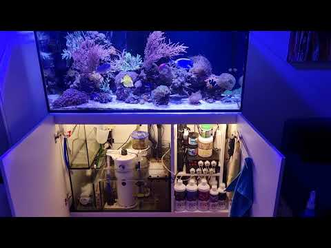 Red Sea Reefer 350 7/8-21