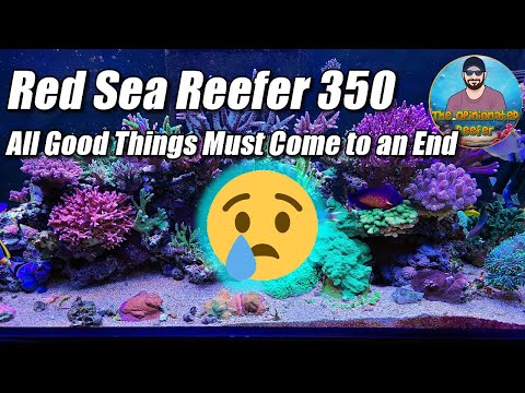 Red Sea Reefer 350 – All good things must come to an end