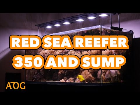Red Sea Reefer 350 and Sump
